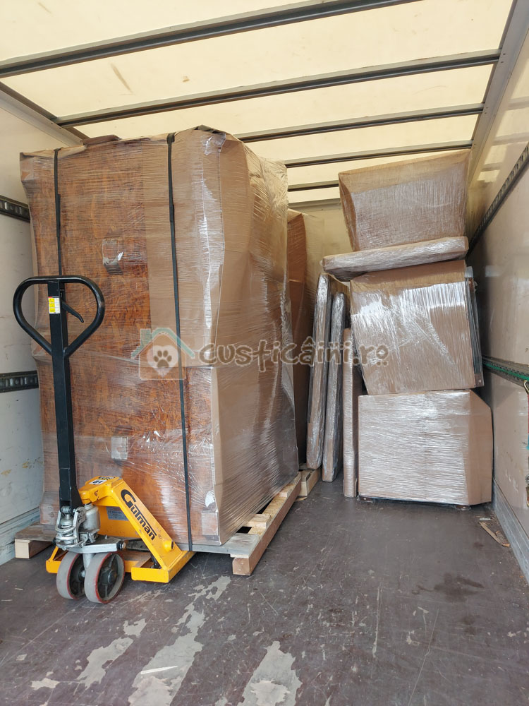 Custi caini inc&acirc;rcate in masina de curierat